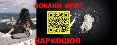 молекула духа Кингисепп