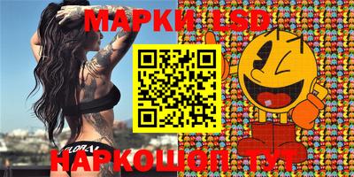 молекула духа Кингисепп