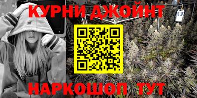 молекула духа Кингисепп