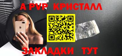 молекула духа Кингисепп
