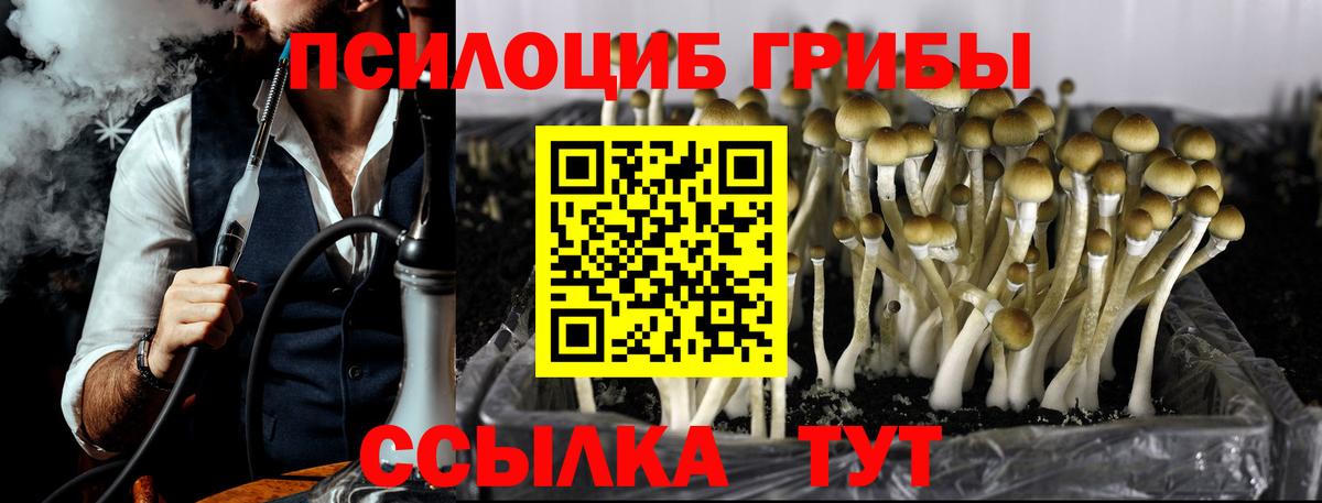 Галлюциногенные грибы Magic Shrooms  Вход с VPN  Зерноград  Галлюциногенные грибы Magic Shrooms 